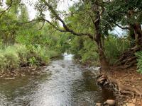  of property in Hoedspruit
