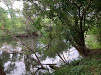  of property in Hoedspruit
