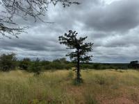 of property in Hoedspruit
