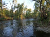  of property in Hoedspruit