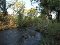  of property in Hoedspruit