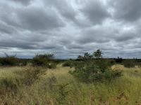  of property in Hoedspruit