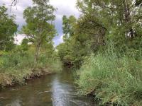  of property in Hoedspruit