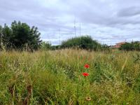  of property in Bendor