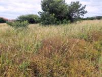  of property in Bendor