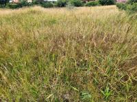  of property in Bendor