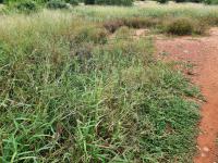  of property in Bendor