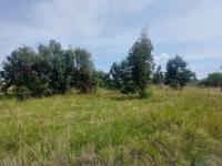  of property in Kendal Forest AH