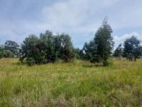  of property in Kendal Forest AH
