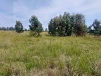  of property in Kendal Forest AH