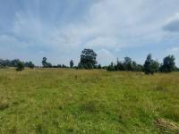 of property in Kendal Forest AH