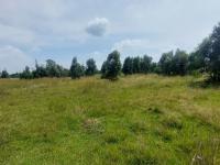  of property in Kendal Forest AH