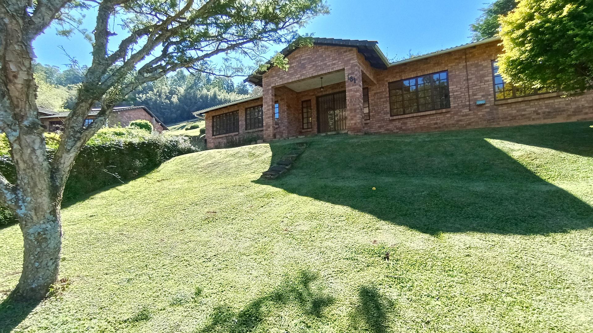 Backyard of property in Town Bush Valley