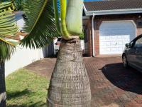  of property in Meer En See
