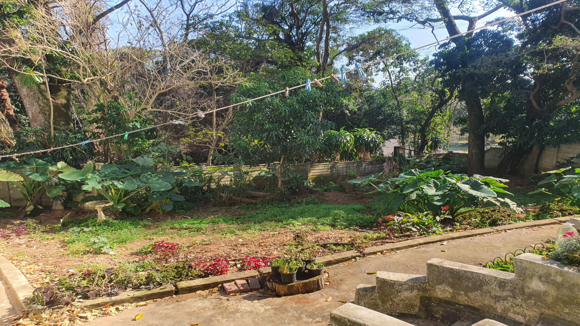 Backyard of property in Southport