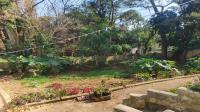 Backyard of property in Southport