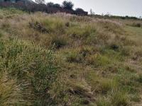  of property in Heidelberg - GP