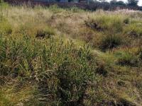  of property in Heidelberg - GP