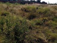  of property in Heidelberg - GP