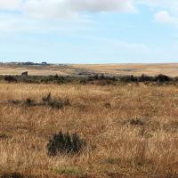 of property in Saldanha
