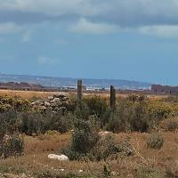  of property in Saldanha