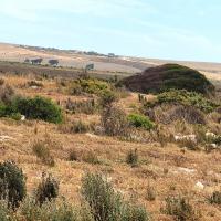  of property in Saldanha