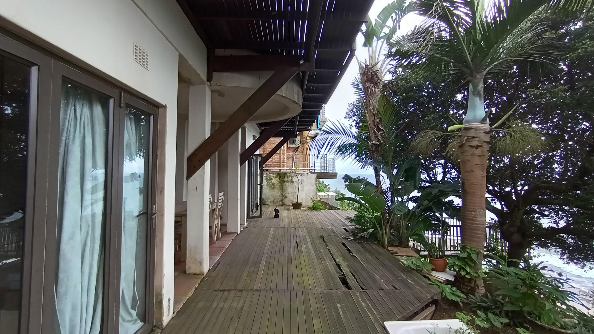 Backyard of property in Bluff