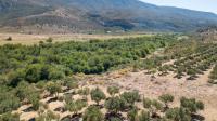  of property in Ladismith
