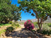  of property in Ladismith