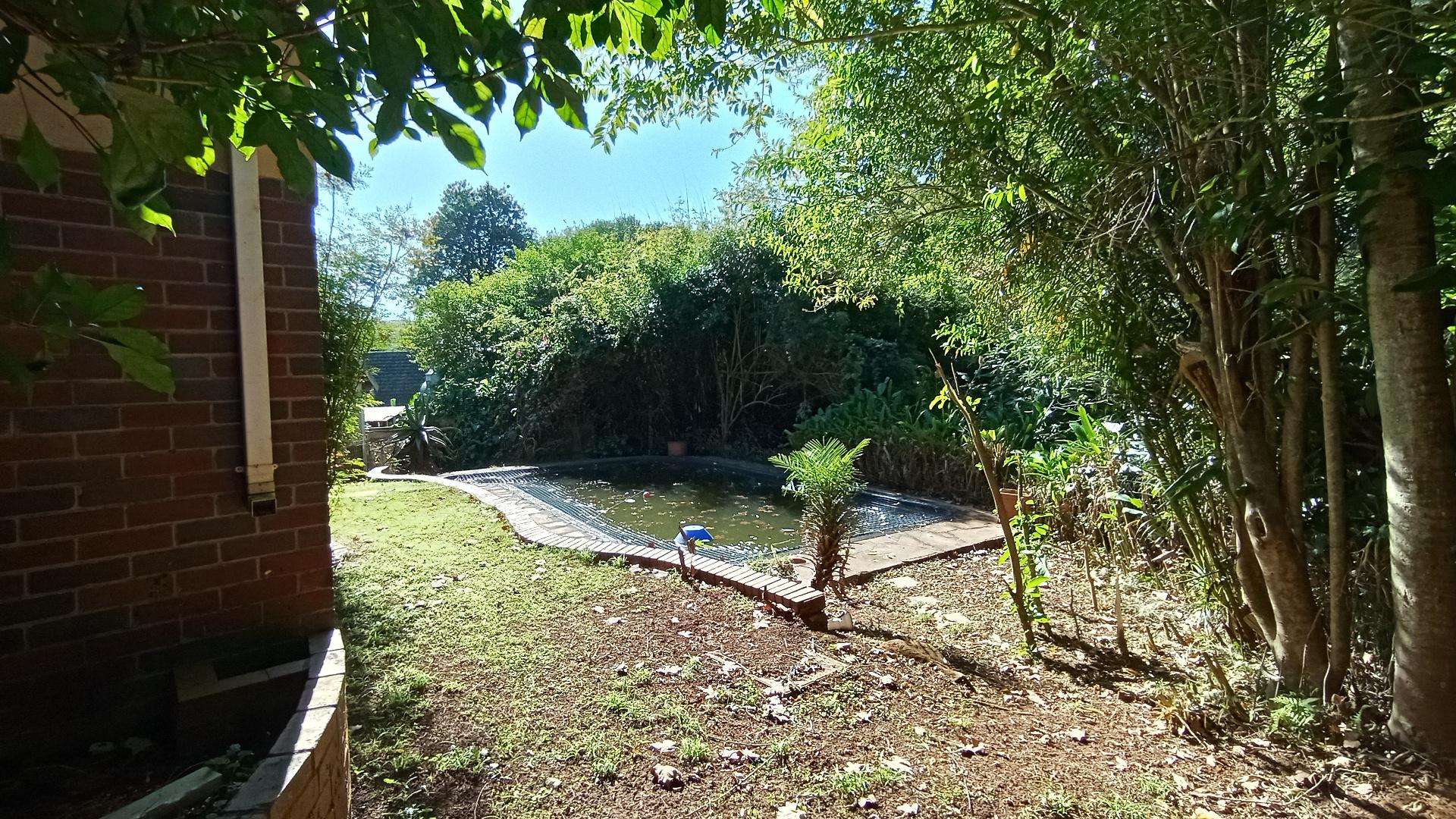 Backyard of property in Blackridge