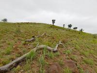  of property in Rustenburg
