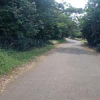  of property in Hibberdene