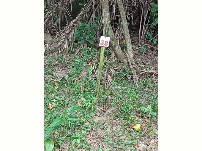 Land for Sale For Sale in Hibberdene - MR673757