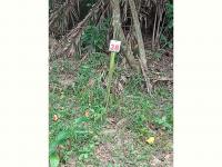  of property in Hibberdene