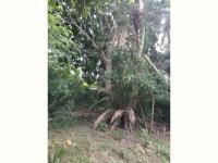  of property in Hibberdene
