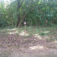 Land for Sale for sale in Hibberdene