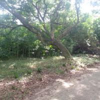  of property in Hibberdene