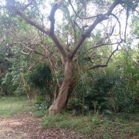  of property in Hibberdene