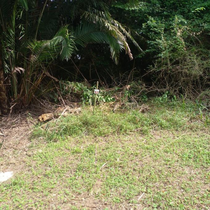 Land for Sale For Sale in Hibberdene - MR673760