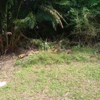  of property in Hibberdene