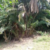  of property in Hibberdene