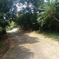  of property in Hibberdene