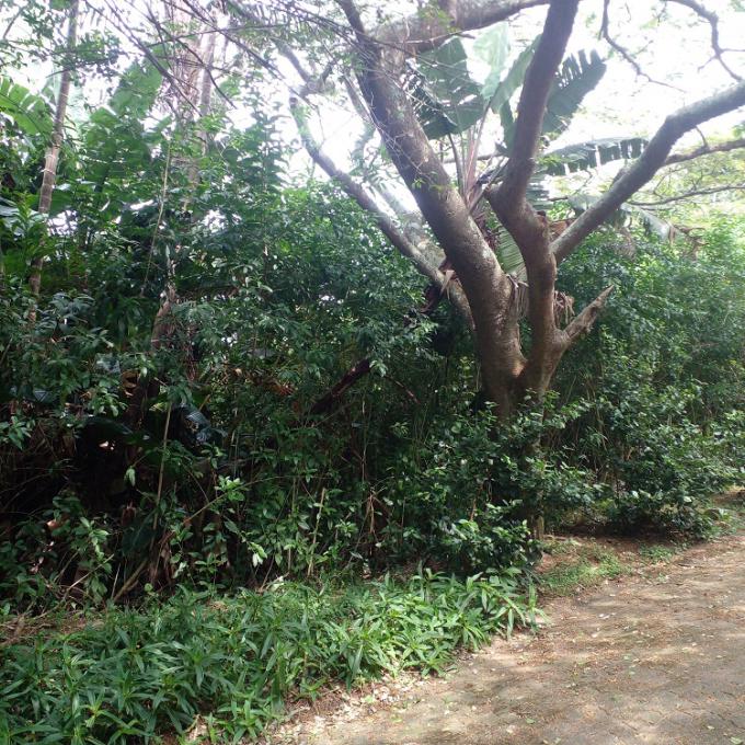 Sectional Title for Sale For Sale in Hibberdene - MR673761
