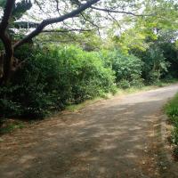  of property in Hibberdene