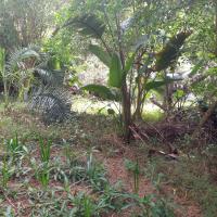  of property in Hibberdene