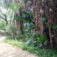  of property in Hibberdene