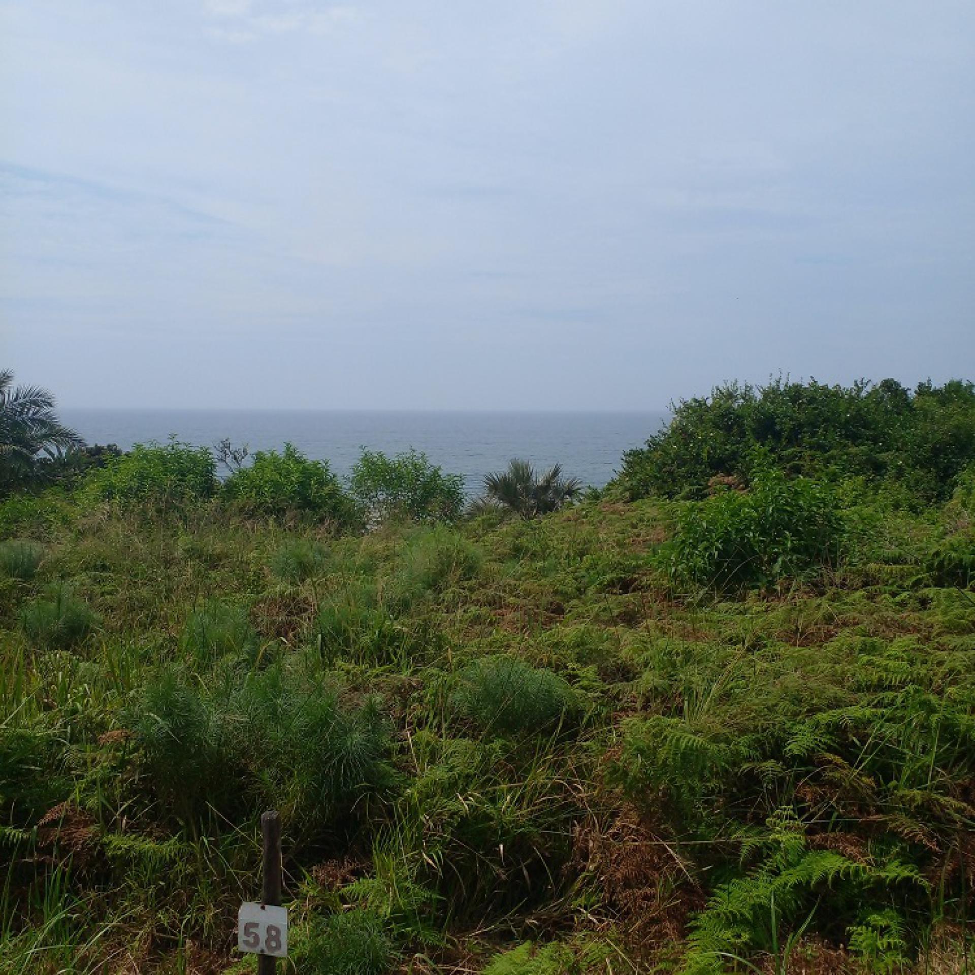  of property in Hibberdene