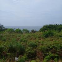  of property in Hibberdene