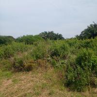  of property in Hibberdene