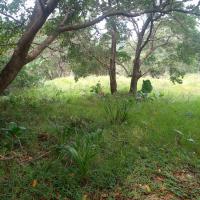  of property in Hibberdene